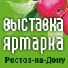 ������ ����� 2011