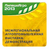 ������ ���� 2013