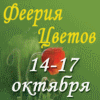 ������ ������ 2010