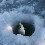 ��������� �� ��������� ���� �����������