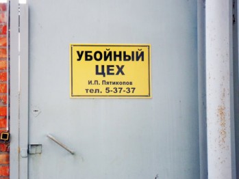 Люди и свиньи. Сальский предприниматель «кинул» своих земляков  на несколько миллионов рублей? 
