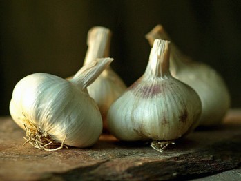 ��� �������� ������