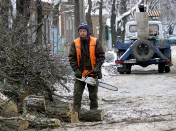 Зеленая "Зачистка" в курортном городке