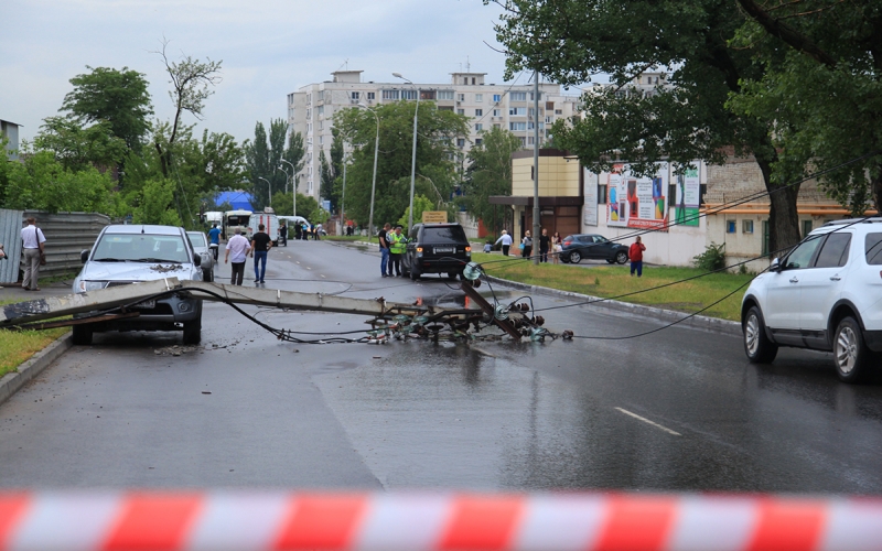 Стихия в Ростове-на-Дону: упавшее дерево повалило 5 опор и оставило без света 365 человек