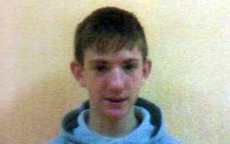 Дмитрий Семендяев (14 лет): глаза серо-голубые, волосы тёмно-русые, рост 168 см, вес 49 кг.