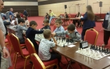 первый шахматный фестиваль в Ростове