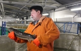донской осетровый завод