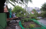 Стихия в Ростове-на-Дону: упавшее дерево повалило 5 опор и оставило без света 365 человек