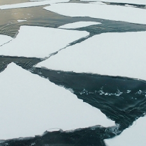 За последние 2 дня в Ростовской области утонули 2 человека. 4 марта, на Веселовском водохранилище, в районе хутора Красный Маныч утонул первый мужчина. Погибшему был 51 год и он проживал в Зерноградском районе