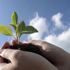 Создано министерство природных ресурсов и экологии Ростовской области