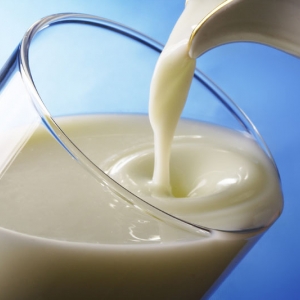 Два года запрета на импорт украинской молочной продукции в Россию предлагает ввести Национальный союз производителей молока