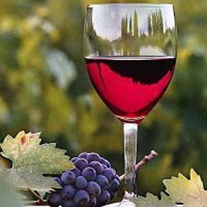 В Краснодаре подвели итоги Международной выставки оборудования, технологий и продукции виноградарства и виноделия «Винорус. Винотех»