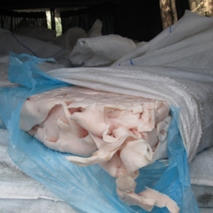 На Миллеровском пропускном пункте таможенники задержали 6 тонн свиного сала без сопроводительных документов