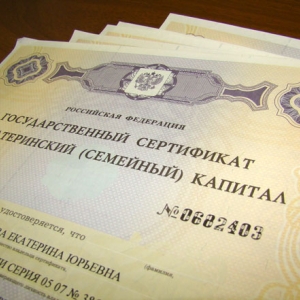 Соответствующие поправки в областной закон губернатор Василий Голубев поручил внести до конца июня 2014 года