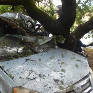 В Железнодорожном районе Ростова-на-Дону 43-летний водитель иномарки не справился с управлением и врезался в дерево