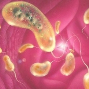 В водоемах Ростова-на-Дону Ростпотребнадзором по РО была найдена болезнетворная микрофлора, которая может привести к заболеванию холерой.