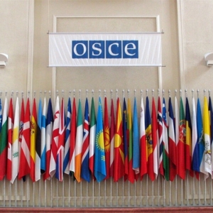 По данным РИА Новости, 29 июля в Ростовскую область прибудут 13 из 19 наблюдателей ОБСЕ. Остальные 6 членов миссии приедут в Ростов 30-31 июля.