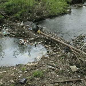 В Ростовской области в в рамках государственной программы «Охрана окружающей среды и рациональное природопользование» расчистят более 7 км рек