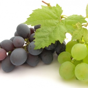 В Новочеркасске Ростовской области выберут «Самый вкусный виноград» и «Самую весомую гроздь»