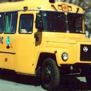 В Ростовской области на покупку школьных автобусов для шести школ-интернатов и центров дополнительного образования выделено более 8,3 млн рублей