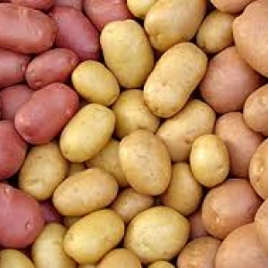 На Дону подешевели картофель и овощи, зато подорожали мясо, масло и рыба. Ростовстат опубликовал результаты мониторинга цен.