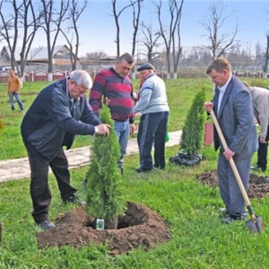 Около 90 тысяч деревьев и кустарников высадят добровольцы завтра, 11 октября. Об этом сообщает пресс-служба администрации Ростовской области
