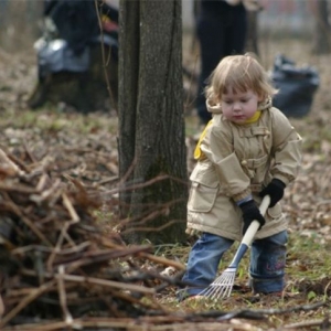 В пятницу, 3 октября, по всей Ростовской области был проведен День благоустройства. Его основная задача заключалась в том, чтобы привести регион в порядок после разбушевавшейся стихии
