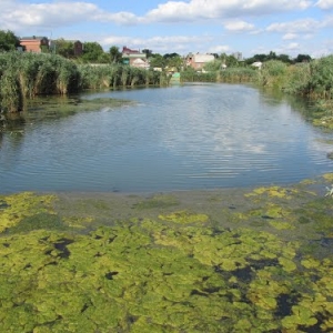 На территории бывшего санатория «Ростовский» в донской столице выявлены нарушения водоохранного законодательства