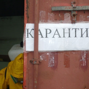 В Орловском районе Ростовской области снят карантин по бешенству