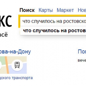 Компания «Яндекс» проанализировала темы и запросы, которые вводили жители ростовской области в поисковую строку на прошлой неделе, с 3 по 9 ноября
