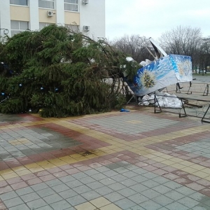 В воскресенье, 28 декабря, сильный ветер в донской столице свалил несколько новогодних елок