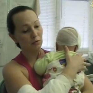 В Ростове-на-Дону возбуждено уголовное дело в отношении заводчиков мастифов, чьи собаки покусали прохожих.