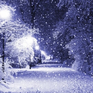Ростов-на-Дону: снег будет идти всю ночь и до обеда