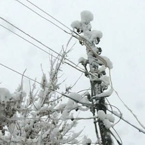 Сложные погодные условия могут стать причиной налипания мокрого снега на деревьях и линиях электропередач в Ростове-на-Дону и Ростовской области. 