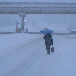 Снегопад в Ростовской области