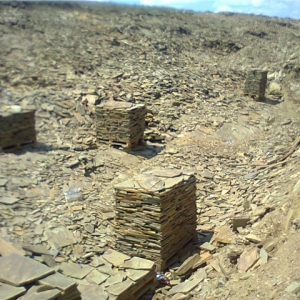 Возбуждено уголовное дело по факту незаконной добычи камня-пластушки на территории Красносулинского района