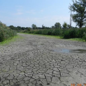 Массовые перебои с водоснабжением могут случиться во многих поселениях Ростовской области. Объём половодья в этом году прогнозируется на уровне 35-36% от нормы, а значит, нехватка питьевой воды этим летом неизбежна