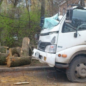В Ростове - на - Дону огромное дерево упало на эвакуатор, фото из социальных сетей В Ростове - на - Дону огромное дерево упало на эвакуатор