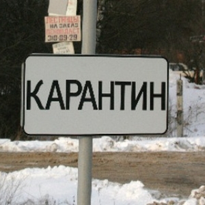 На территории хутора Вяжа в Кашарском районе Ростовской области ввели карантин в связи с бешенством. 
