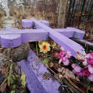 На Северном кладбище Ростова орудуют вандалы. 