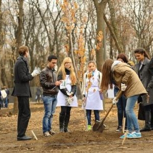 В эту субботу, 18 апреля, в Ростовской области пройдёт День древонасаждения. Он даст старт кампании по озеленению Ростова-на-Дону