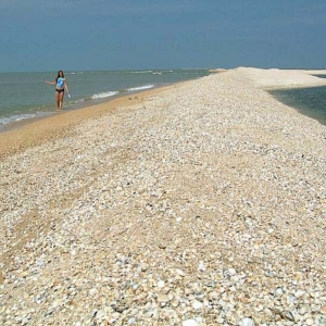 Азовское море становится солоней