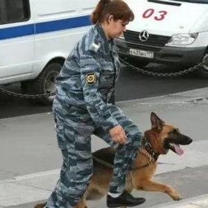 В ночь на 14 мая на горячую линию РЖД поступило сообщение о взрывном устройстве на одном из вокзалов Ростова-на-Дону. 