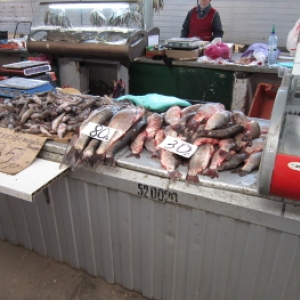 Ветеринарные инспекторы провели внеплановую проверку продовольственных рынков. Выяснилось, что не вся рыба отвечает ветеринарно-санитарным требованиям