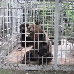 Городской суд Усть-Донецкого закрыл уголовное дело в отношении хозяина базы отдыха «Орлиный приют» в ст. Мелиховской. 