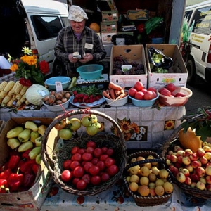 Начался сезон сбора урожая ягод, фруктов, овощей, и в городе участились случаи незаконной торговли ими