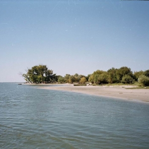 В Багаевском районе Ростовской области выясняют, как погиб мальчик, тело которого нашли на берегу Дона