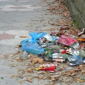 В Ростове места для отдыха завалены мусором