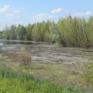 Жители г Миллерово (Ростовская область) по-прежнему винят «Амилко» в загрязнении окружающей среды