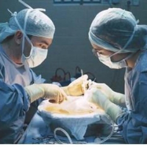 В Ростове готовят к выписке первого пациента, которому провели трансплантацию печени  